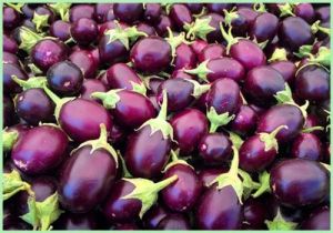 Fresh Brinjal