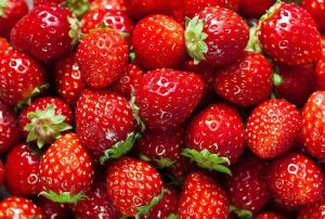 Fresh Red Strawberry