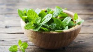 Green Fresh Mint Leaves