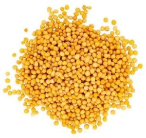 Yellow Mustard Seed