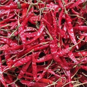 Organic Whole Red Chilli, Grade Standard : Food Grade For Spices