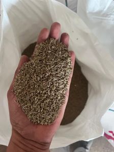 Cumin Seed