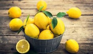 Fresh Yellow Lemon, Packaging Type : Carton For Pickles, Fast Food, Drinks