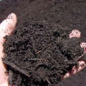 Organic Manure, Color : Black, Packaging Size : 25-50kg, Grade : Bio Tech Grade