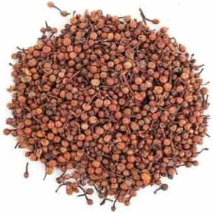 Nagkesar Seeds