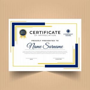 Paper Printed Certificate, Color : Multicolor, Printing Type : Customize