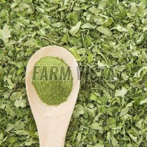 Natural Moringa Dry Leaf Powder, Color : Green, Packaging Size : 10g, Packaging Type : Bag