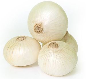 Fresh White Onion, Packaging Size : 20 Kg, Packaging Type : Bag, Storage Tips : Dry