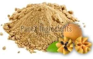 Sapota Powder, Color : Brown Dried, Taste : Sweet