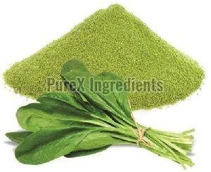 Spinach Leaf Powder, Packaging Type : Packet For Cooking, Human Consumption