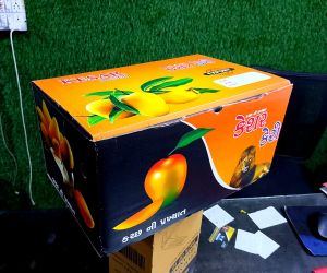 Mango Corrugated Packaging Box