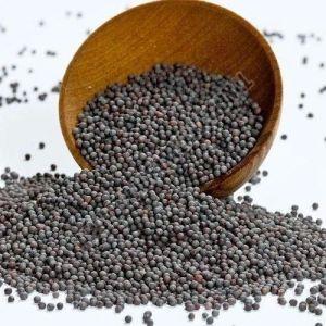 Natural Black Mustard Seeds For Spices