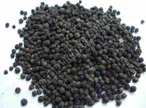 Natural Black Pepper Seeds, Grade Standard : Food Grade For Spices