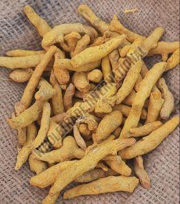 Raw Dried Turmeric Finger, Color : Yellow For Spices, Food Medicine