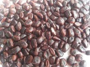 Dried Tamarind Seeds