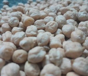 White Kabuli Chana, Packaging Type : Packet For Cooking, Human Consumption