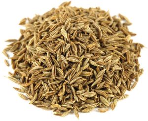 Raw Common Cumin Seeds, Color : Brown