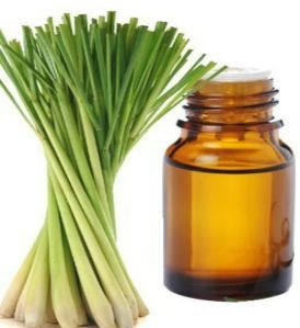 Common Lemongrass Oil, Color : Light Yellow, Packaging Type : Glass Bottles