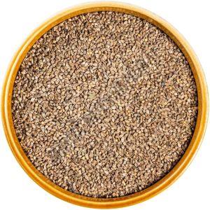 Organic Barnyard Millet Seeds