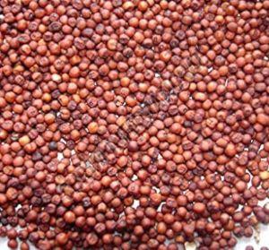 Organic Finger Millet Seeds, Color : Red Dried, Packaging Type : Plastic Bag