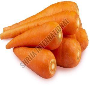 Fresh Carrot, Color : Orange For Cooking