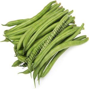 Organic Fresh French Beans Natural For Cooking