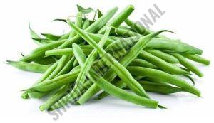 Organic Fresh Green Beans Natural For Cooking