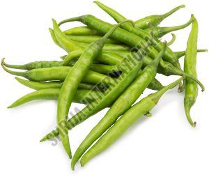 Organic Fresh Green Chilli For Cooking