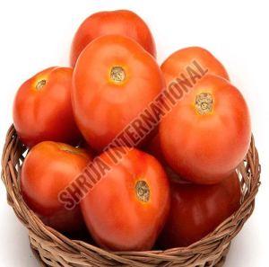 Fresh Tomato, Color : Red