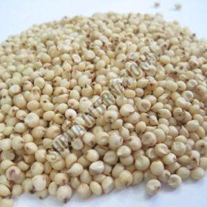 Sorghum Seeds Dried For Food Processing