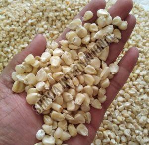 Organic White Maize Seeds Dried