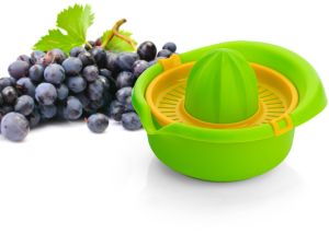 Fruit Juicer