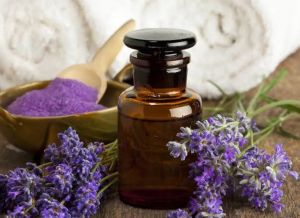 Lavender Oil