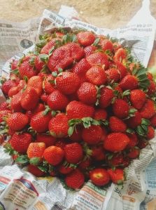 Strawberry