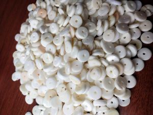 Sea Shell Buttons