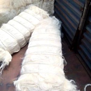 Sisal Fibre
