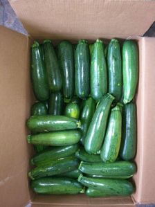 green zucchini