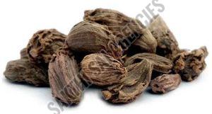 Black Cardamom, Packaging Type : Bag