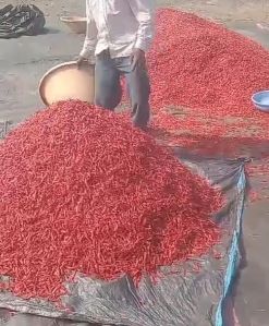 Catch Raw Common Dried Red Chilies, Form : Solid