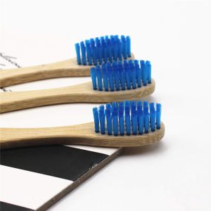 Blue Bamboo Tooth Brush