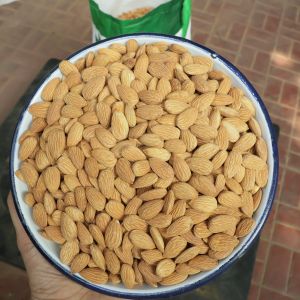 Common Almond Nuts