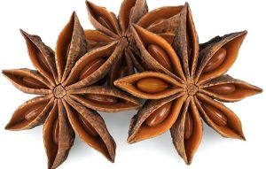 Autumn Star Anise