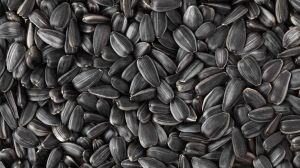 Black Sunflower Seeds