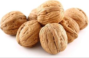 Brown Inshell Walnuts