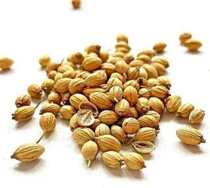 Coriander Seeds