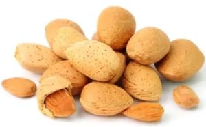 Inshell California Almond Nuts