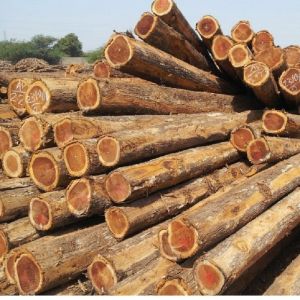 Brown Teak Wood Logs