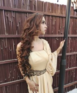 Brown Volumizer Real Human Clip Hair Extension