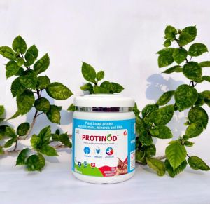 Soya Protein, Color : White, Packaging Type : Plastic Container