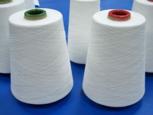 White Crimp Polyester Yarn, Packaging Type : Crimped